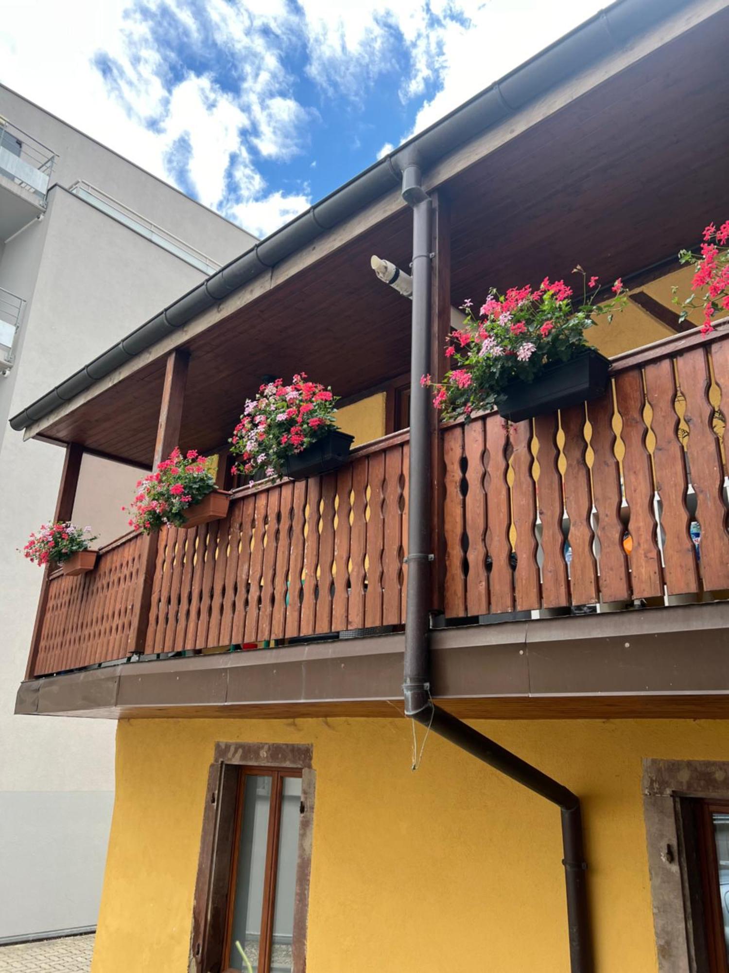 Colmar Charmant Logement Buitenkant foto